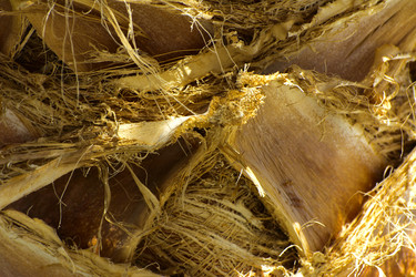 Similar image 19743054