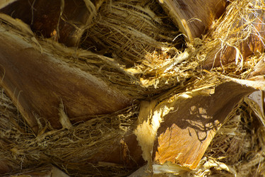 Similar image 19743055