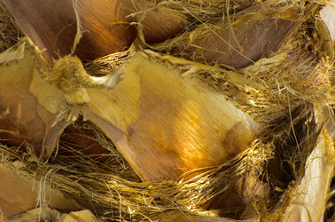 Similar image 19743065