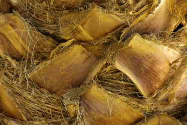 Similar image 19743080