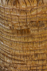 Similar image 19775258