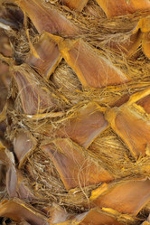 Similar image 19775272