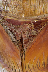 Similar image 19775275