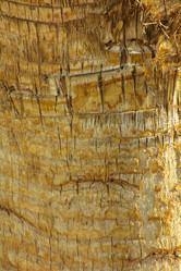 Similar image 19742976