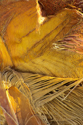 Similar image 19742983