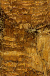 Similar image 19743027