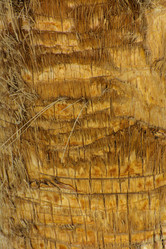 Similar image 19743029