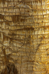 Similar image 19743033