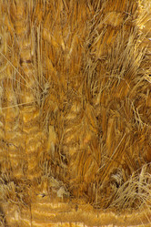 Similar image 19743037