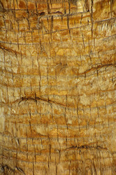 Similar image 19743061