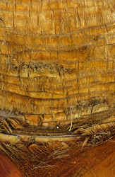 Similar image 19743064