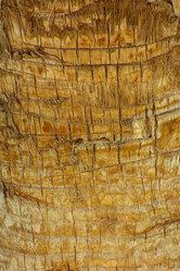 Similar image 19743081