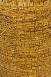 Similar image 19743090