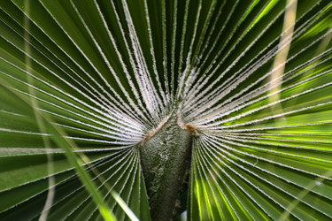 Similar image 19743107