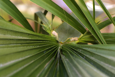 Similar image 19200424