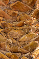 Similar image 19200430