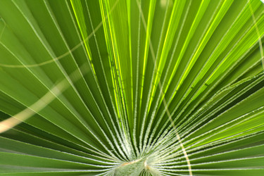 Similar image 19200438