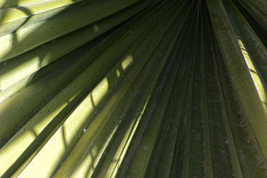 Similar image 19200464