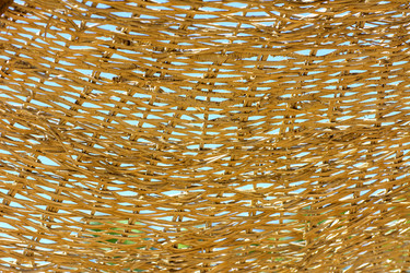 Similar image 19200381