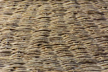 Similar image 19200384