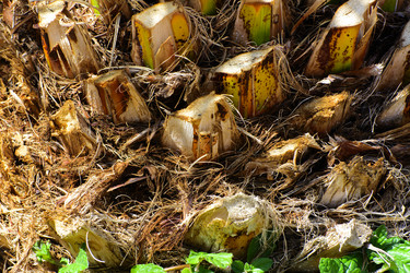 Similar image 19200396