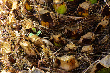 Similar image 19200399