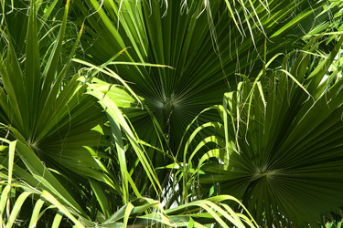 Similar image 19200401