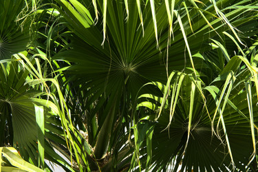 Similar image 19200404