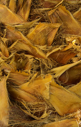 Similar image 19200409