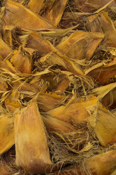 Similar image 19200411