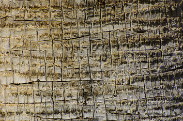 Similar image 19200413