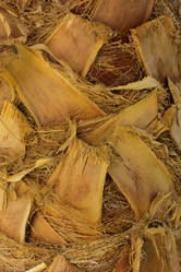 Similar image 19200416