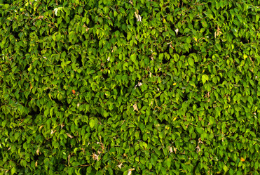 Similar image 19200422