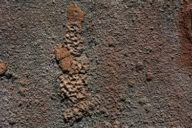 Similar image 19200433