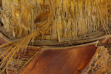 Similar image 19200425