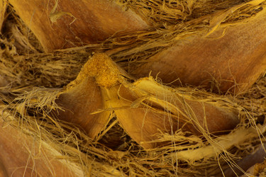 Similar image 19200427