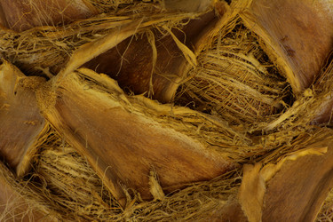 Similar image 19200431