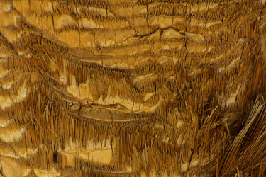 Similar image 19200435