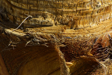 Similar image 19200439