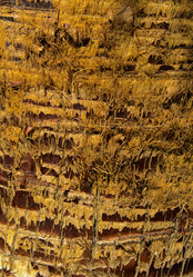 Similar image 19200440