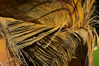 Similar image 19200442