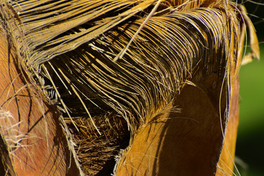 Similar image 19200445