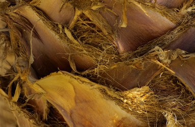 Similar image 19200447