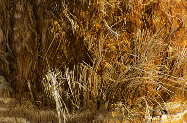 Similar image 19200449