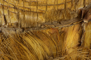 Similar image 19200451