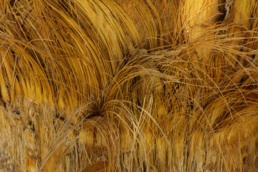 Similar image 19200453