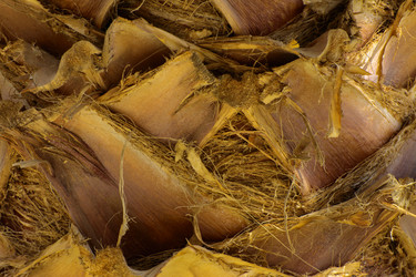 Similar image 19200455