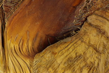 Similar image 19200457