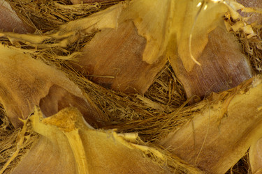 Similar image 19200467