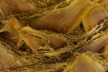 Similar image 19200469